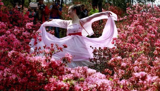賞花、聽(tīng)曲、看明星，梨蘭會(huì)嗨翻天！(圖14)