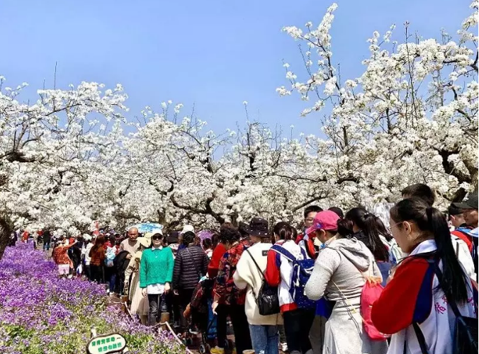 持之以恒規(guī)范旅游市場秩序，堅(jiān)定不移維護(hù)良好旅游形象(圖3)