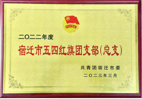 喜報(bào)！宿遷文旅集團(tuán)共青團(tuán)工作榮獲多項(xiàng)榮譽(yù)(圖3)