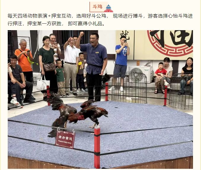 國慶文旅嘉年華，嗨翻假期樂不停！(圖4)